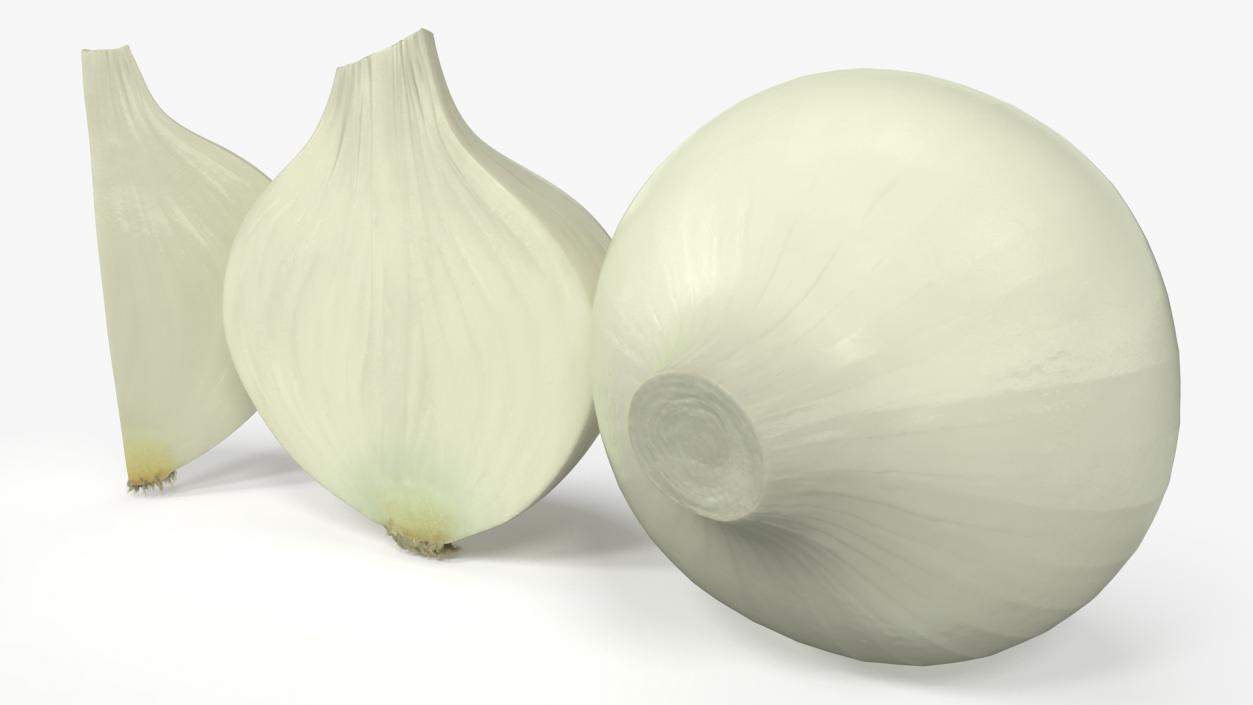 3D White Onions Fur