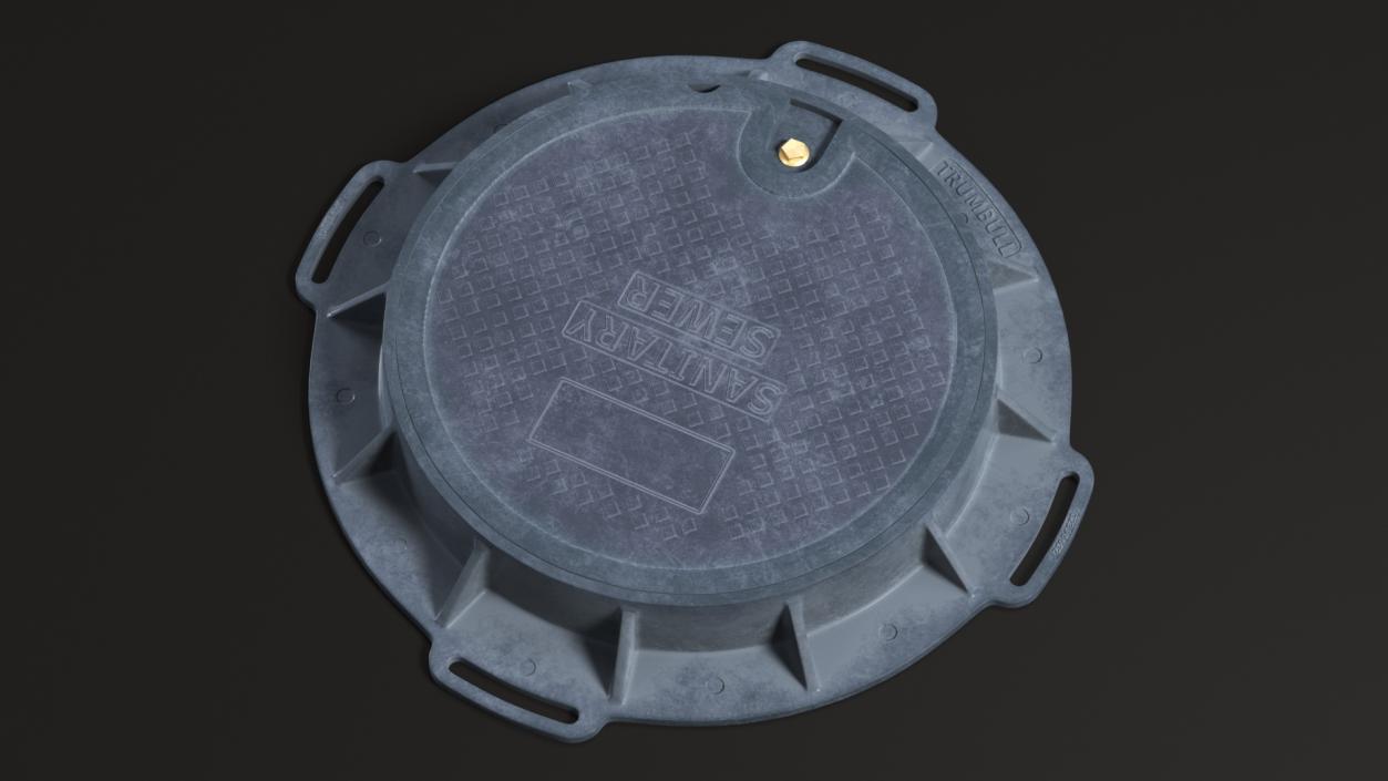 Fiberglass Manhole Black 3D model