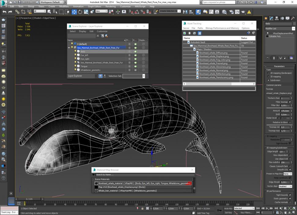 3D Sea Mammal Bowhead Whale Rest Pose Fur model