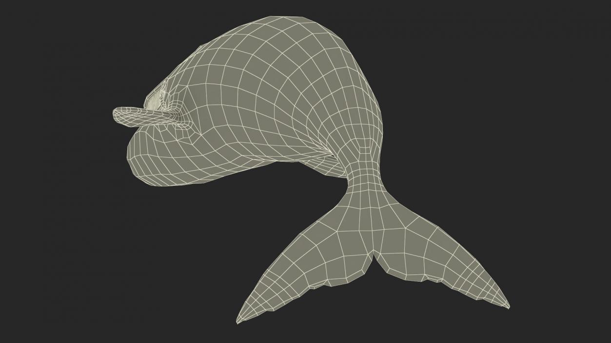 3D Sea Mammal Bowhead Whale Rest Pose Fur model