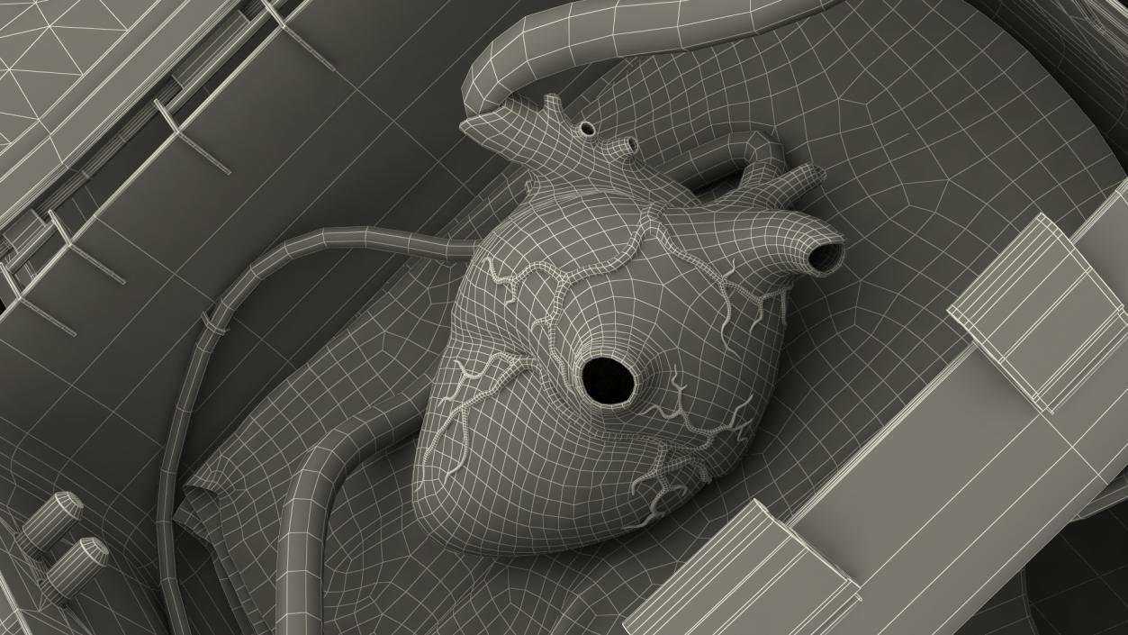 3D model Transmedics Organ Care System with Heart