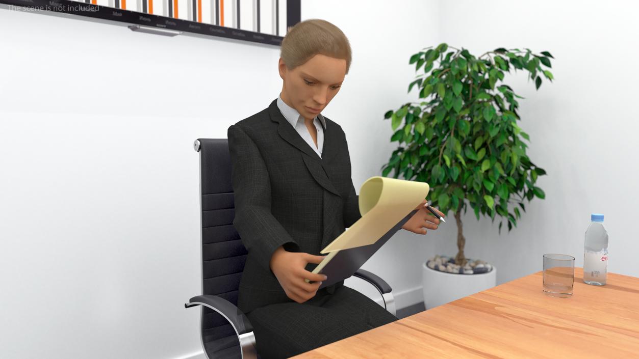 3D Professional Businesswoman Rigged model