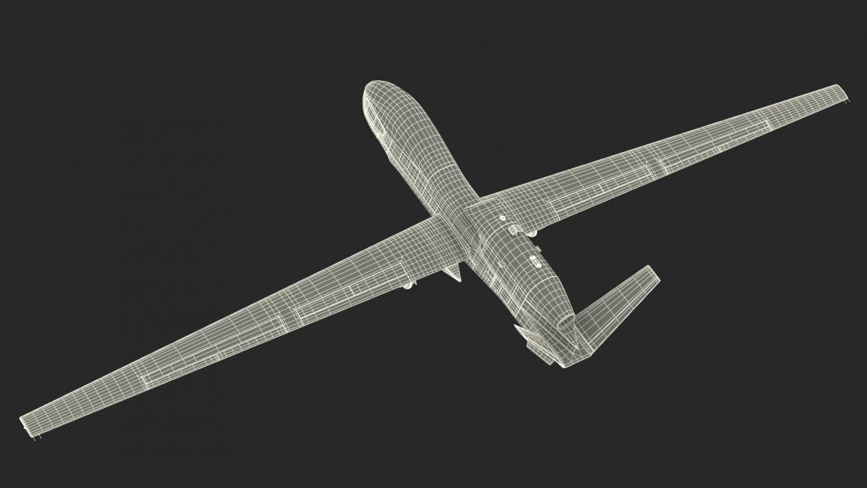 3D RQ-4D Phoenix Global Hawk Drone Rigged model