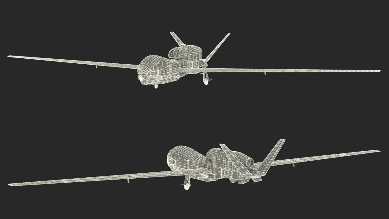 3D RQ-4D Phoenix Global Hawk Drone Rigged model