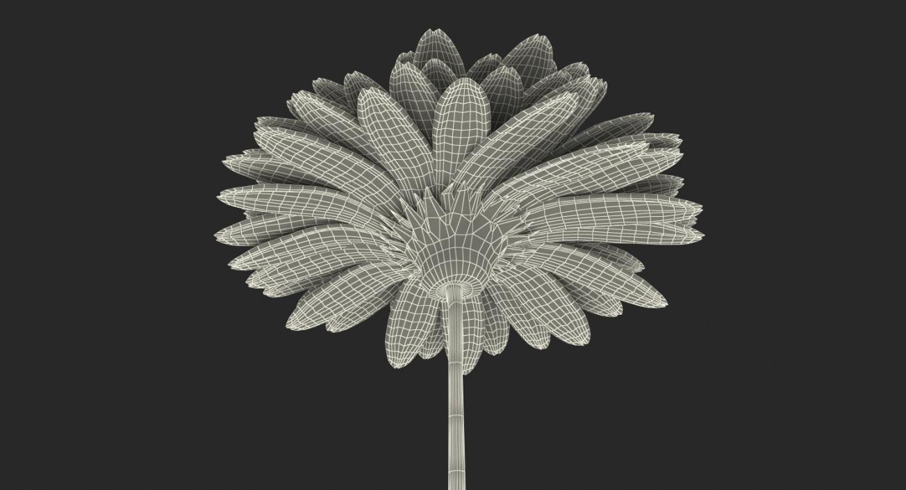 3D Yellow Gerbera Flower