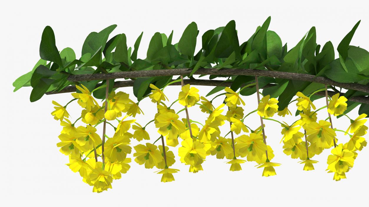 3D Berberis Branch with Flowers model