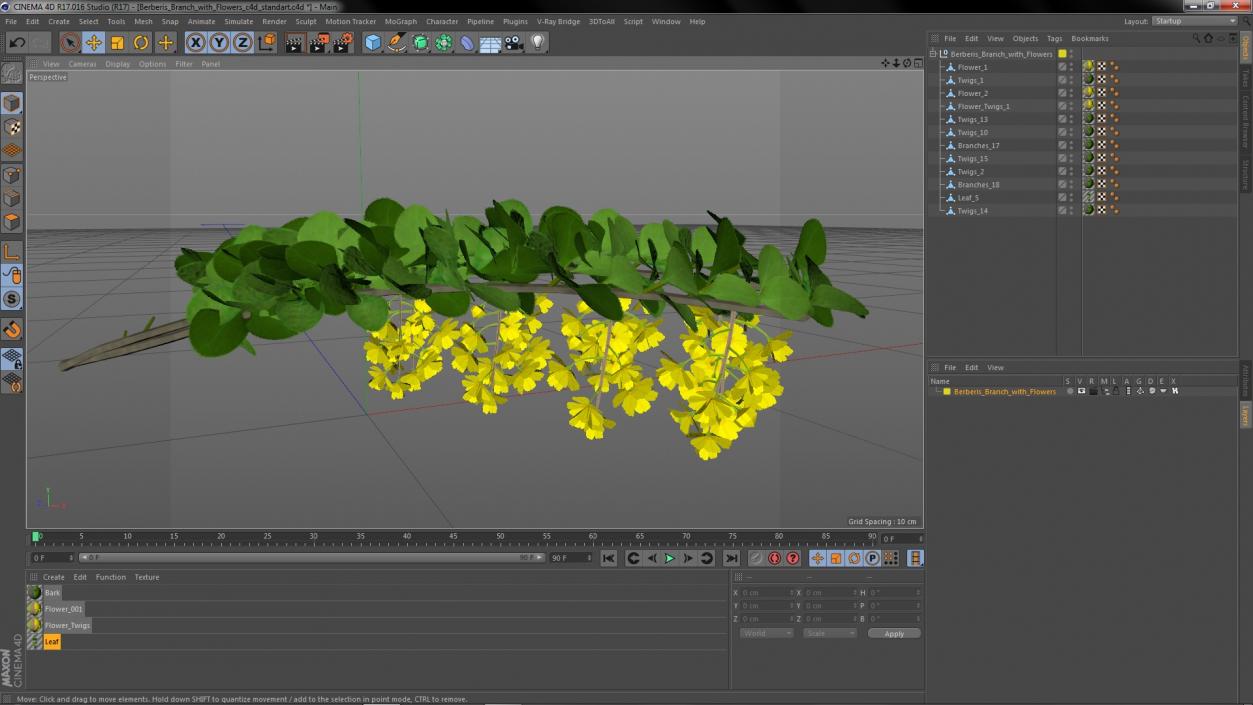 3D Berberis Branch with Flowers model