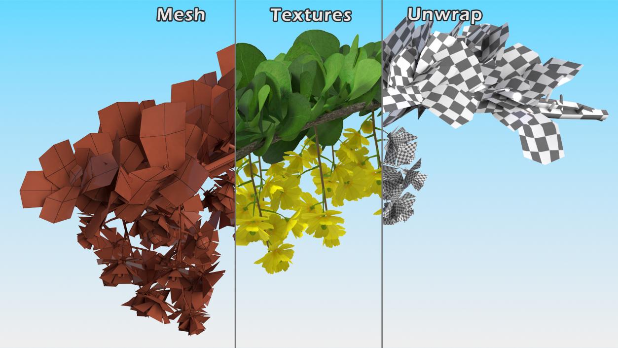 3D Berberis Branch with Flowers model