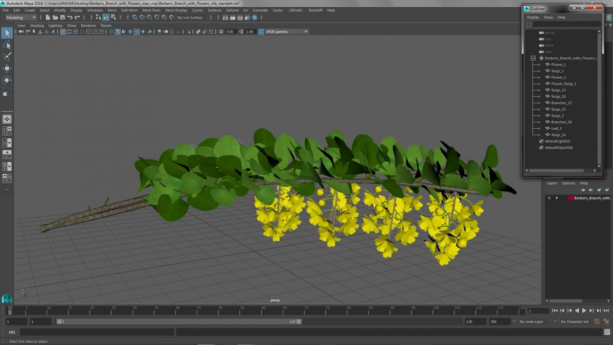 3D Berberis Branch with Flowers model