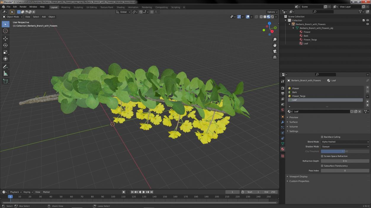 3D Berberis Branch with Flowers model