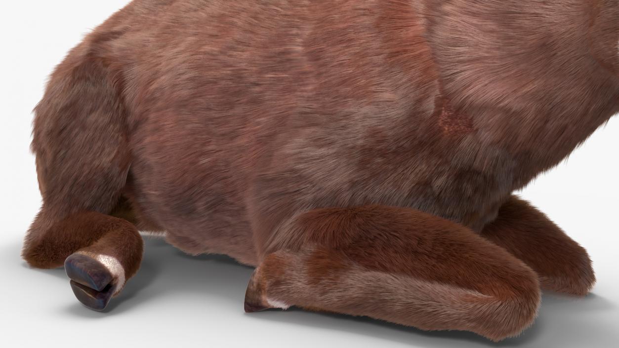 3D Saola Fur Rigged 2 model