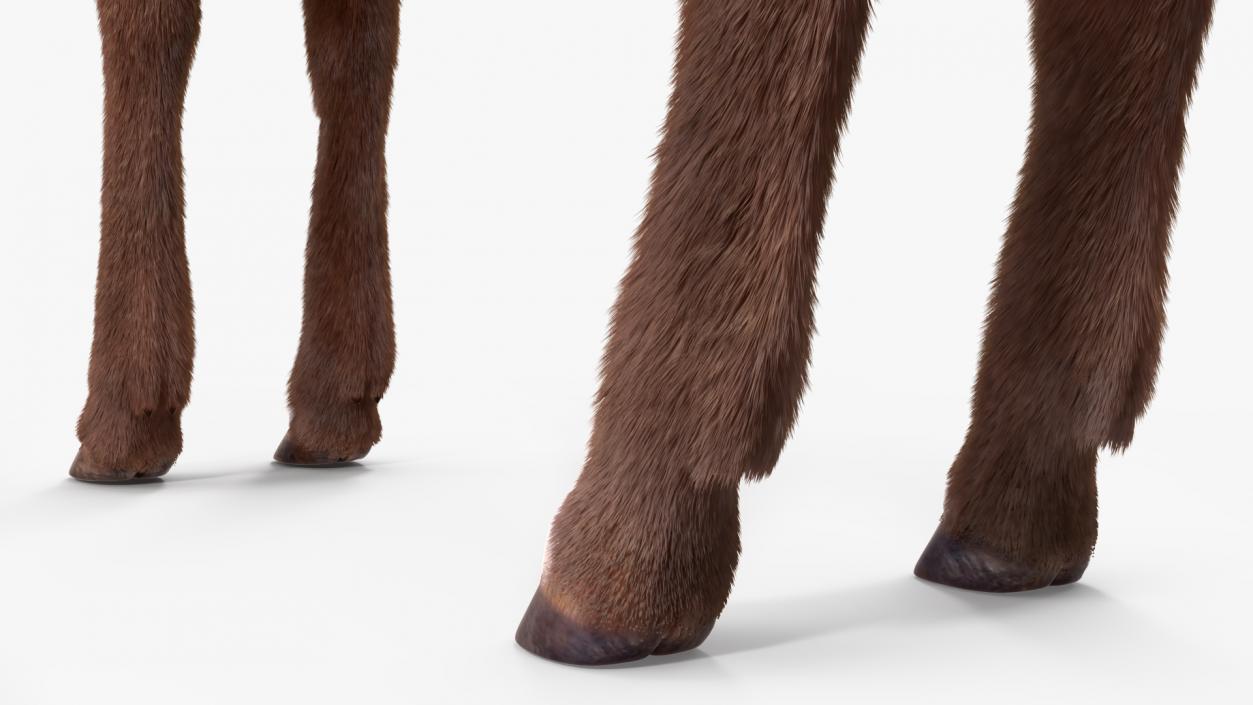 3D Saola Fur Rigged 2 model