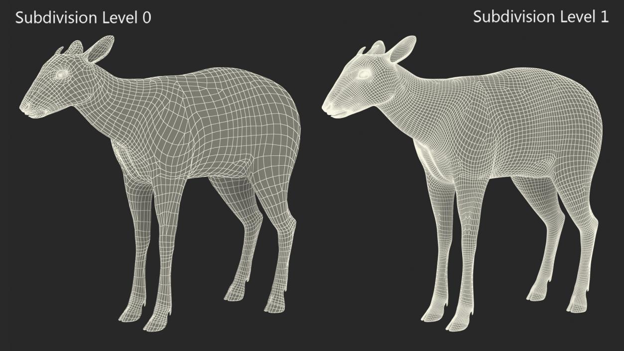 3D Saola Fur Rigged 2 model