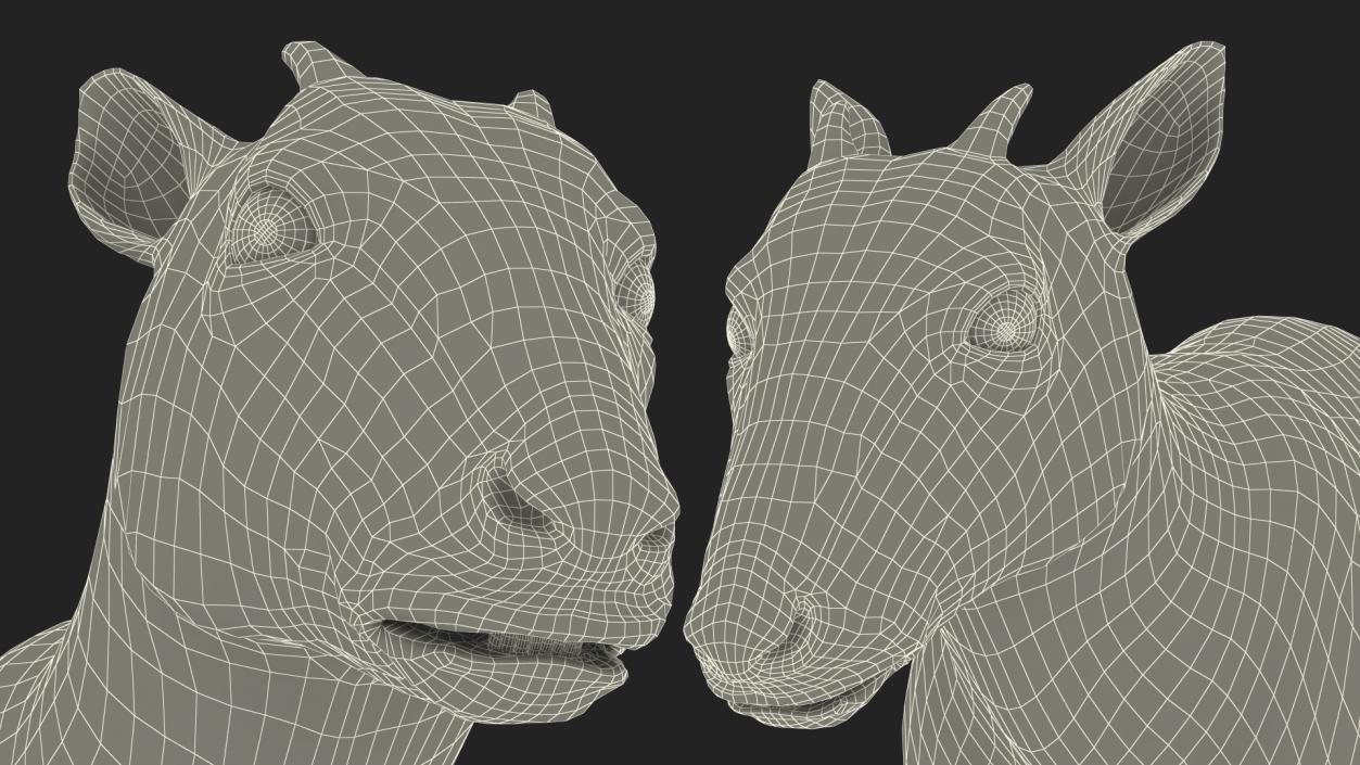 3D Saola Fur Rigged 2 model