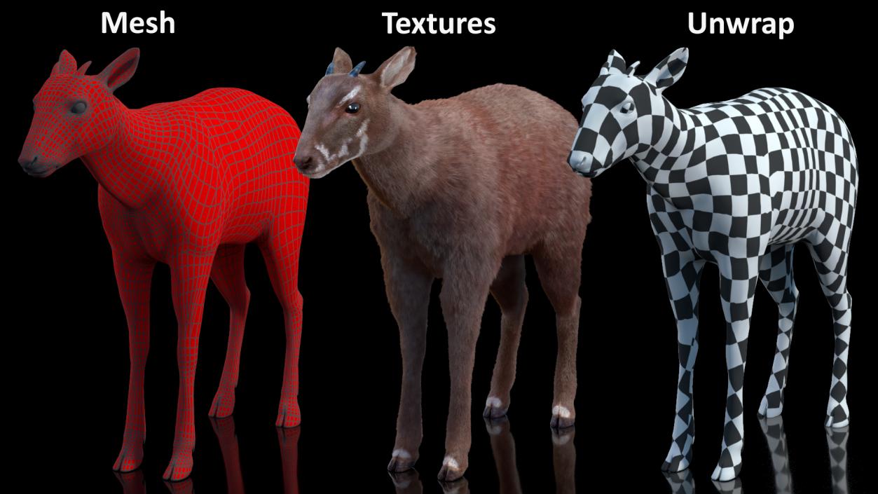 3D Saola Fur Rigged 2 model