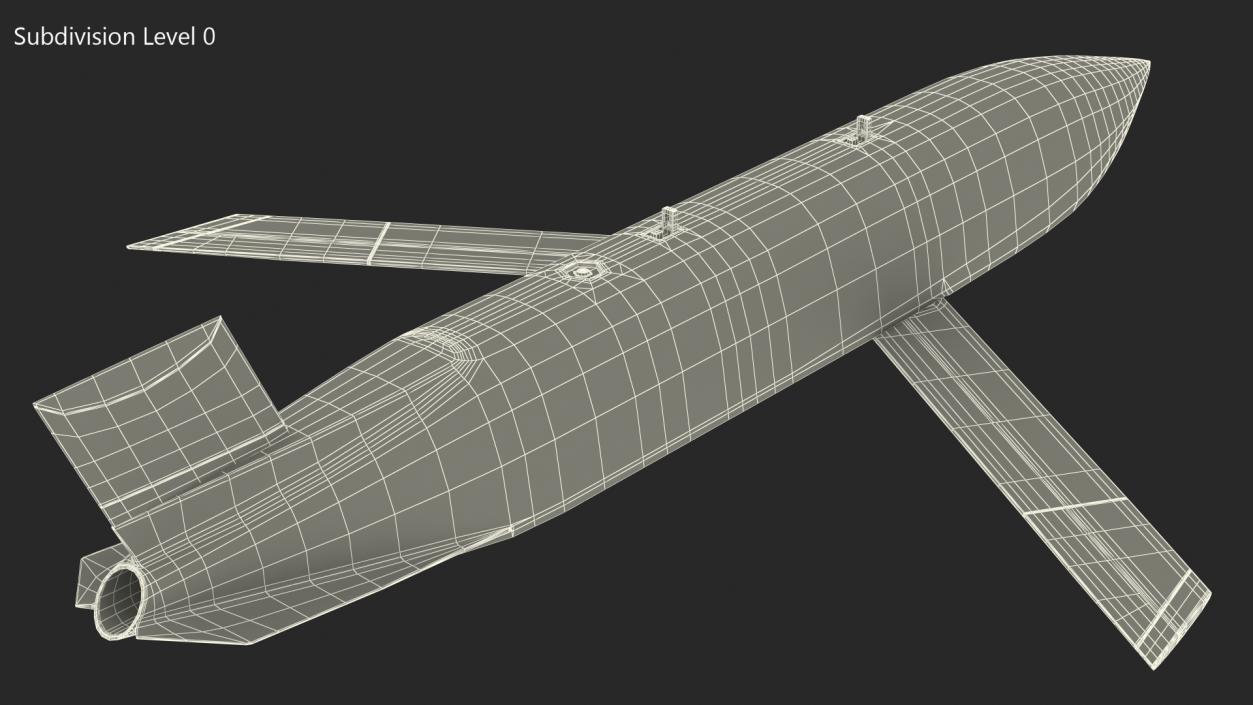 3D model Cruise Missile AGM 158 JASSM Rigged