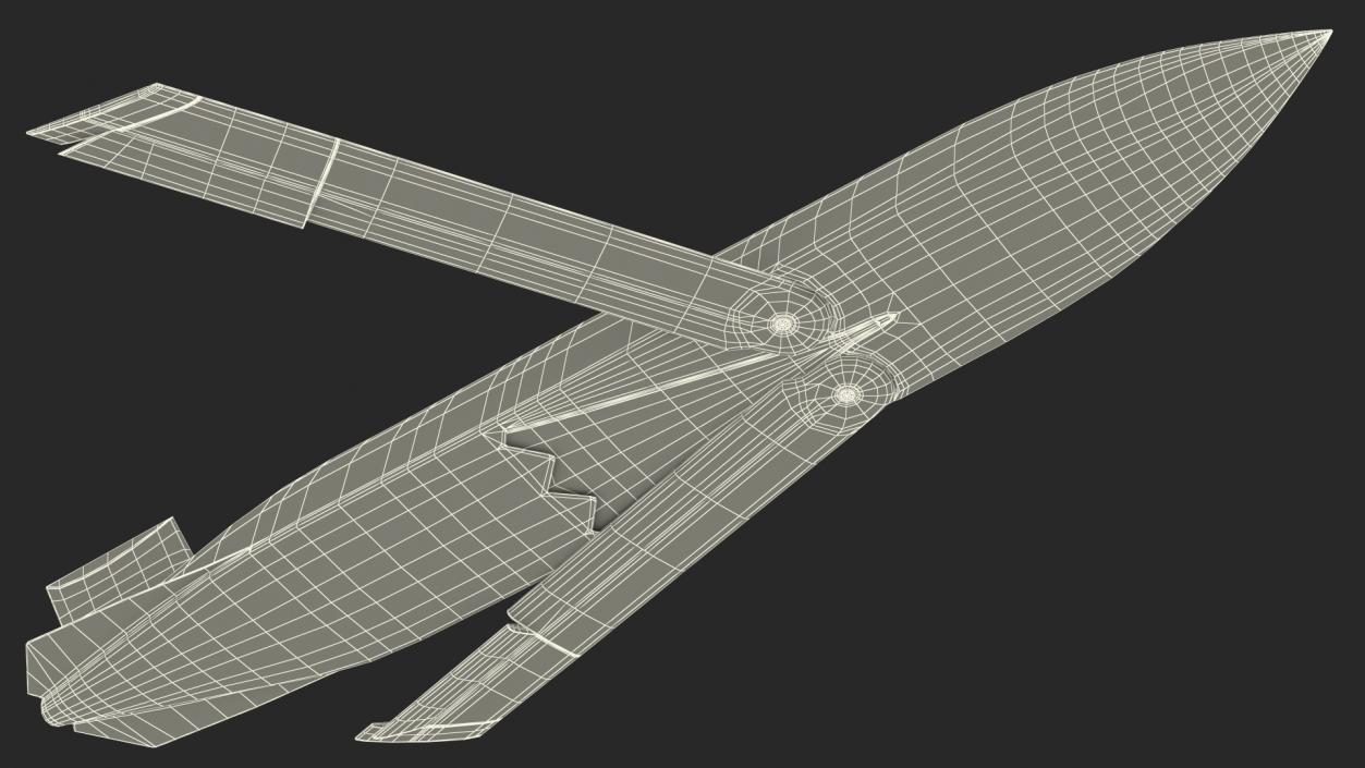 3D model Cruise Missile AGM 158 JASSM Rigged