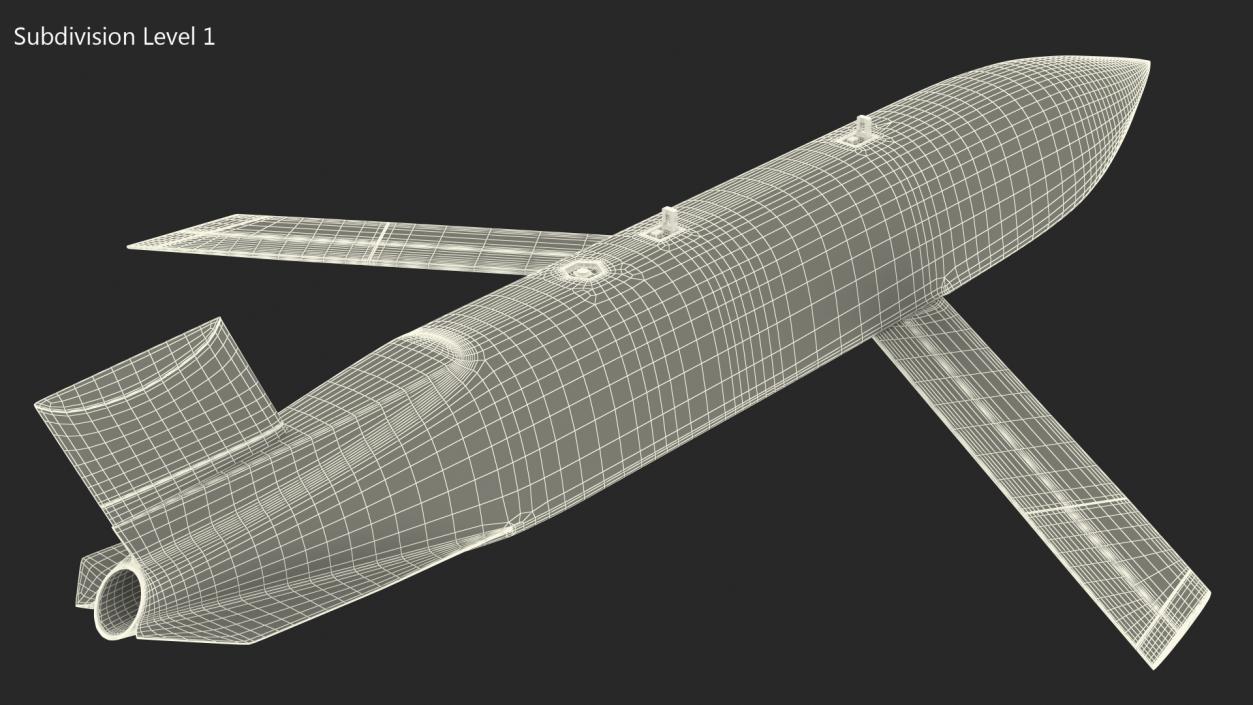 3D model Cruise Missile AGM 158 JASSM Rigged