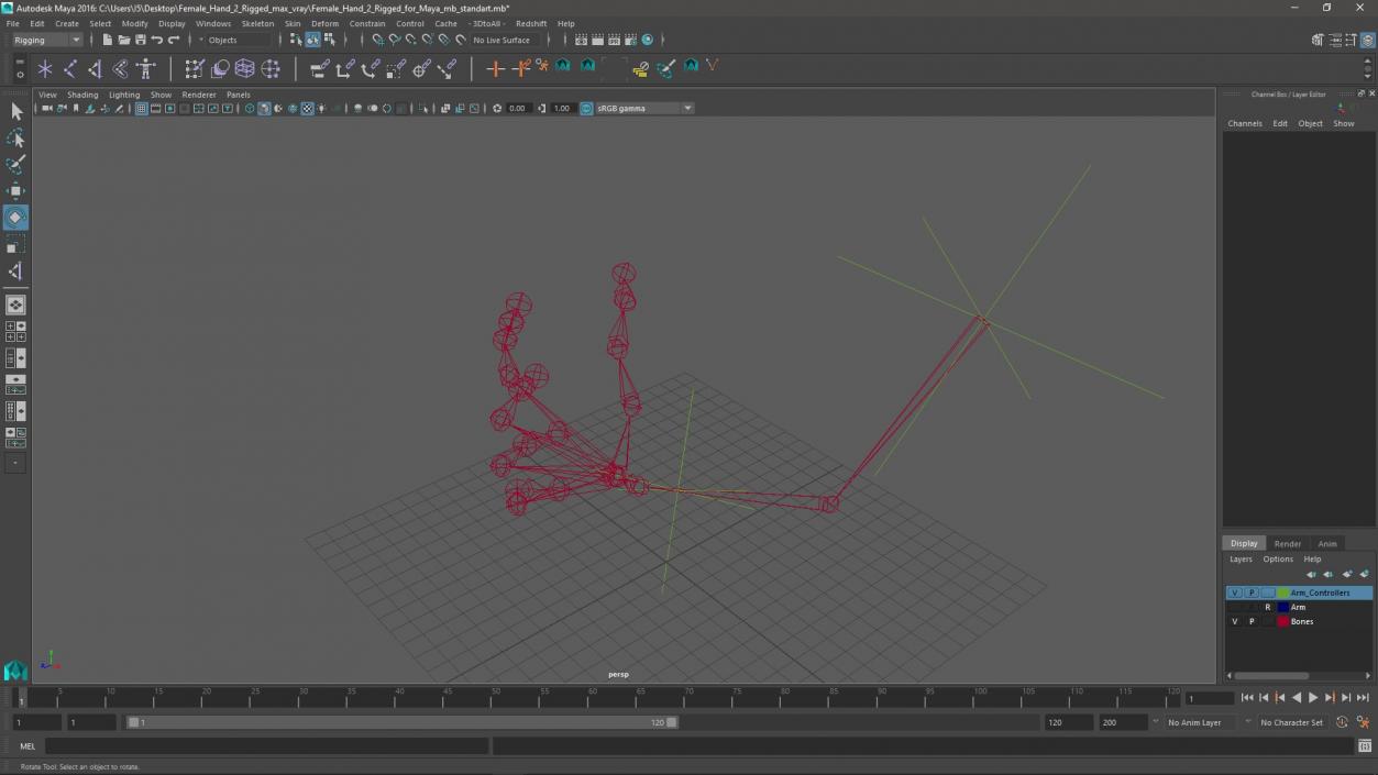 Female Hand 2 Rigged for Maya 3D model