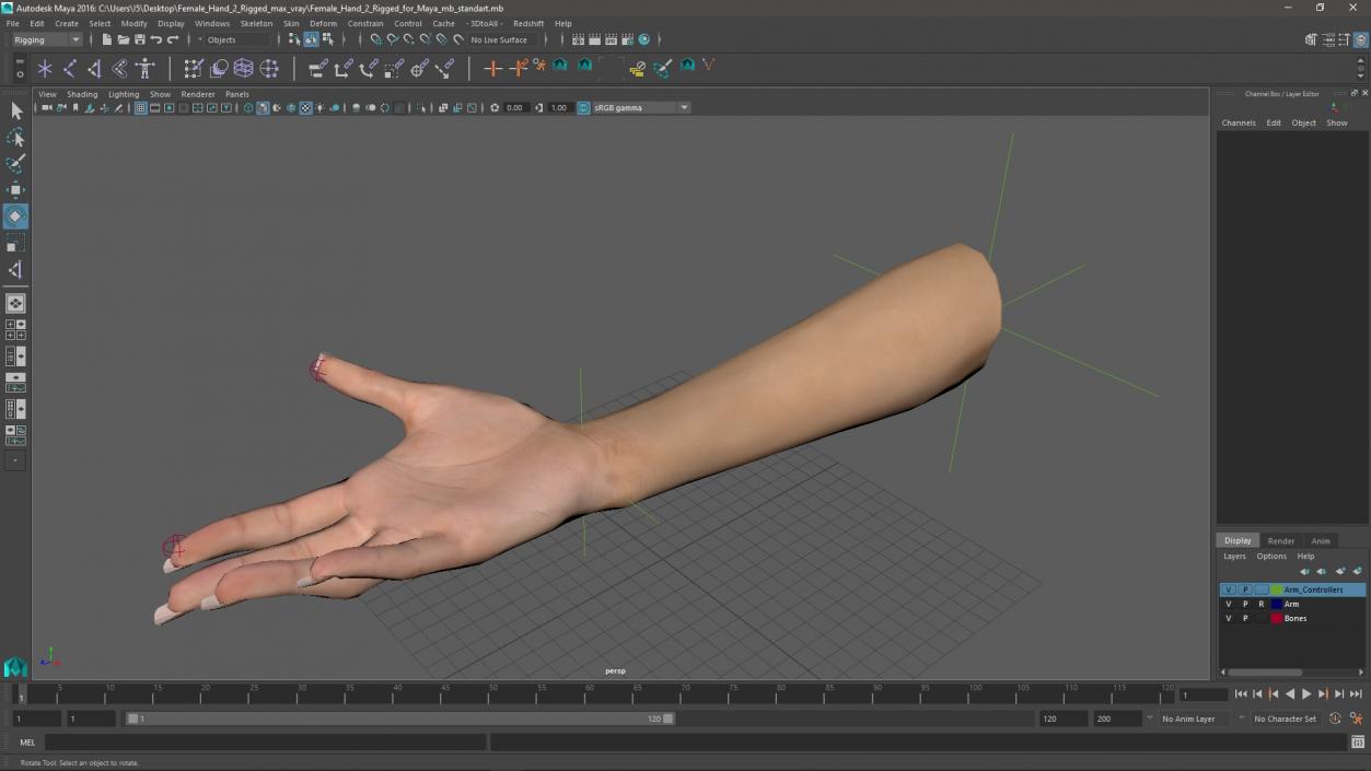 Female Hand 2 Rigged for Maya 3D model