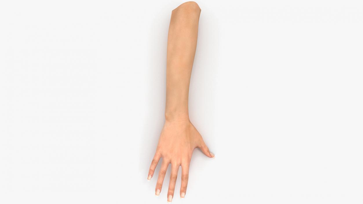 Female Hand 2 Rigged for Maya 3D model