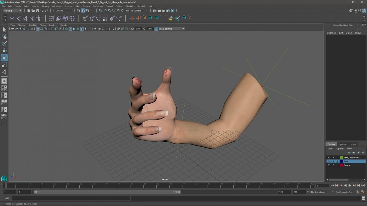 Female Hand 2 Rigged for Maya 3D model