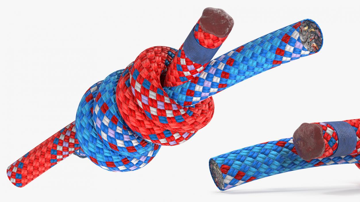 3D Rope Knots Collection 3 model