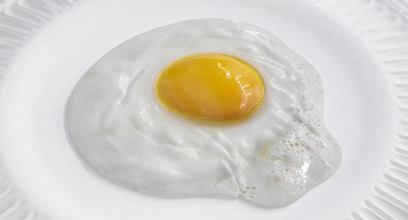 Fried Egg 3D model