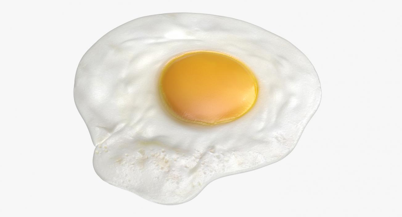 Fried Egg 3D model