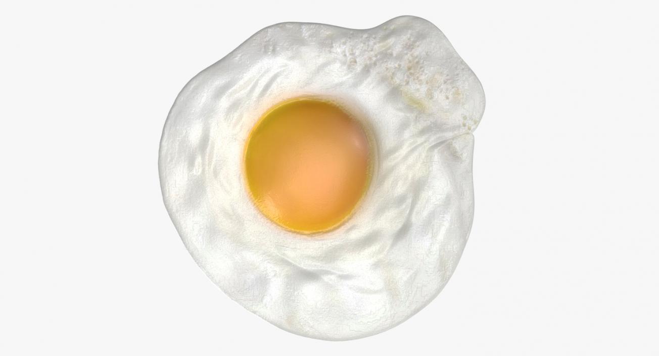 Fried Egg 3D model