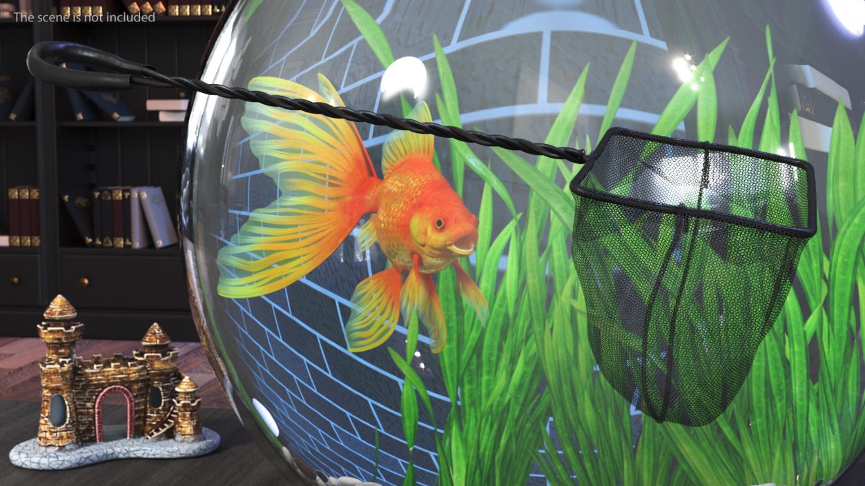 3D Fish Net for Pet Fish