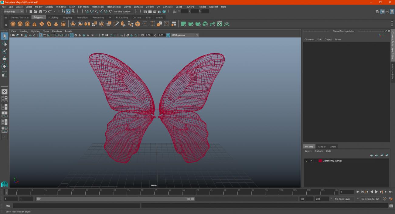 Papilio Protenor Wings Female 3D model