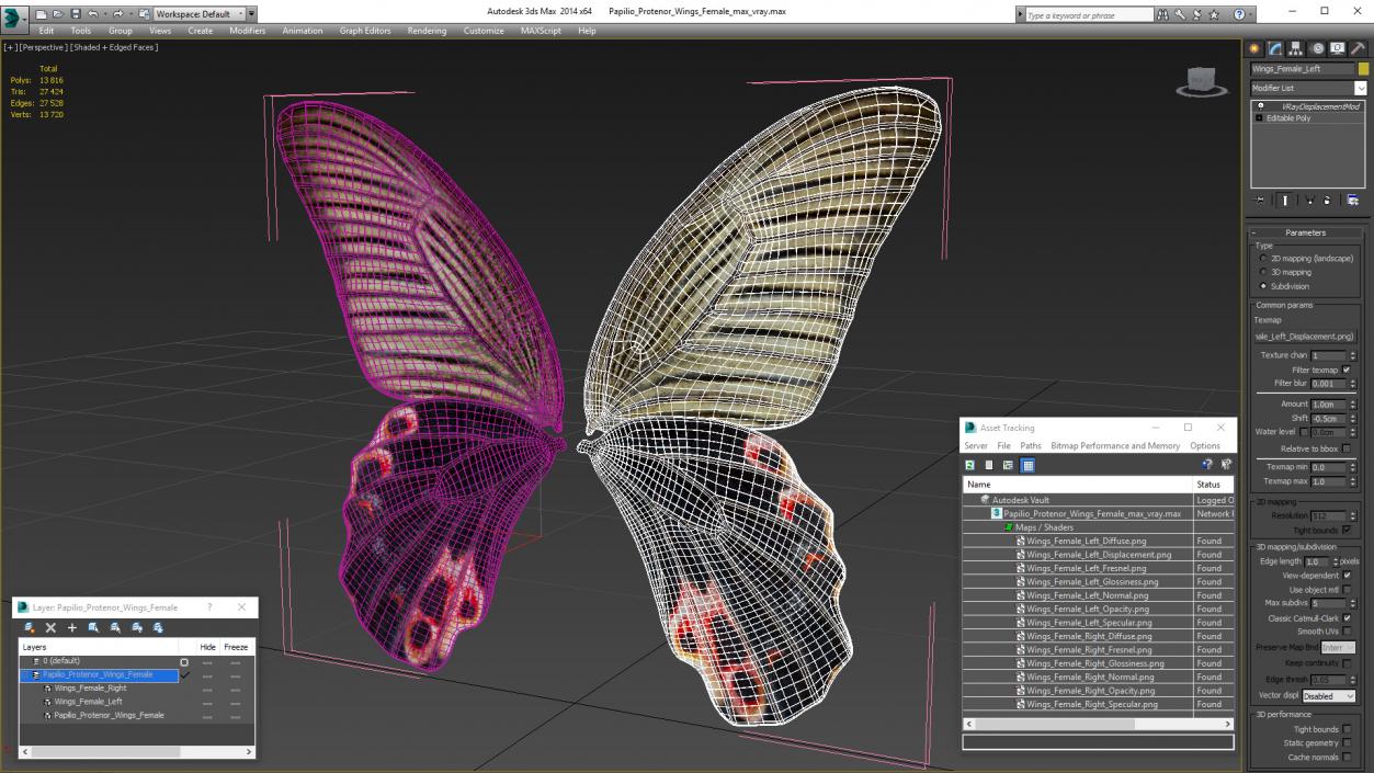 Papilio Protenor Wings Female 3D model