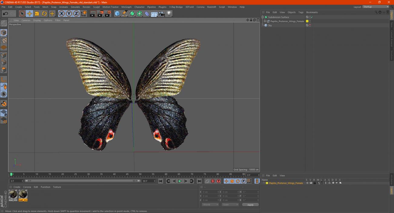 Papilio Protenor Wings Female 3D model