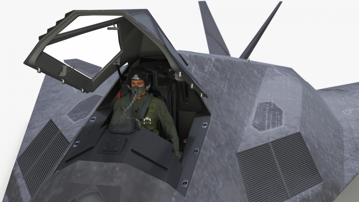 Combat Aircraft Stealth with Pilot 3D model