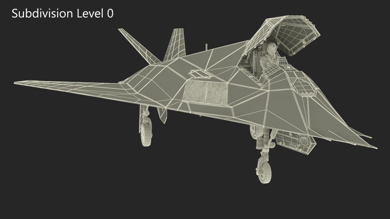 Combat Aircraft Stealth with Pilot 3D model