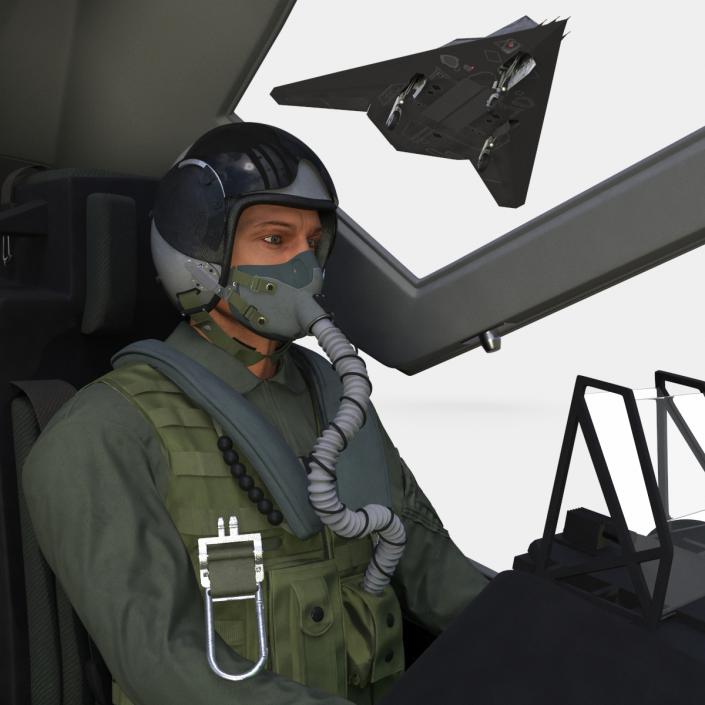 Combat Aircraft Stealth with Pilot 3D model