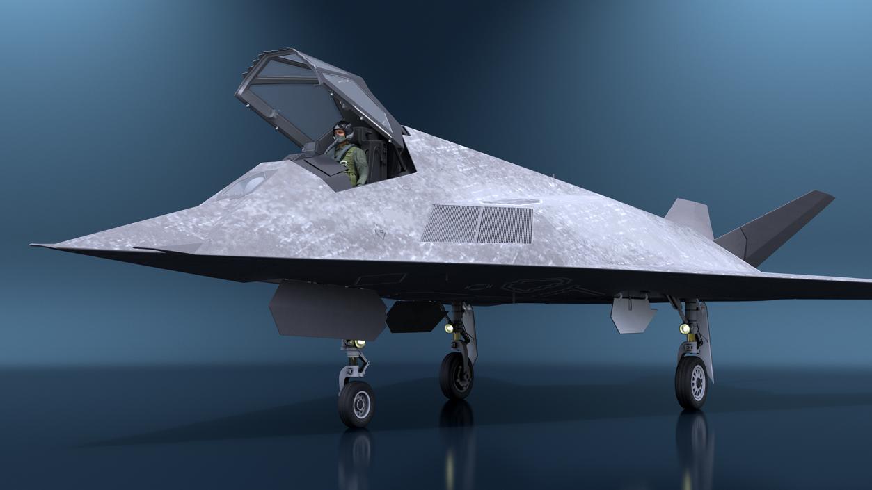 Combat Aircraft Stealth with Pilot 3D model