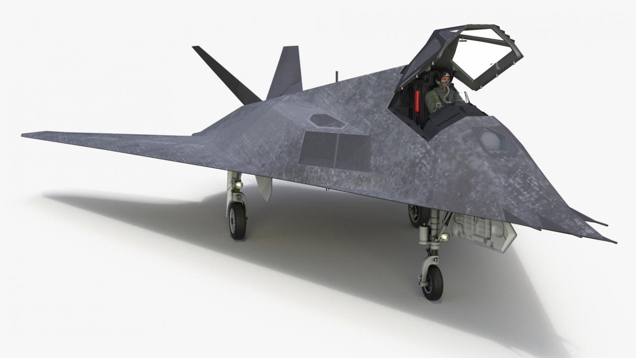 Combat Aircraft Stealth with Pilot 3D model