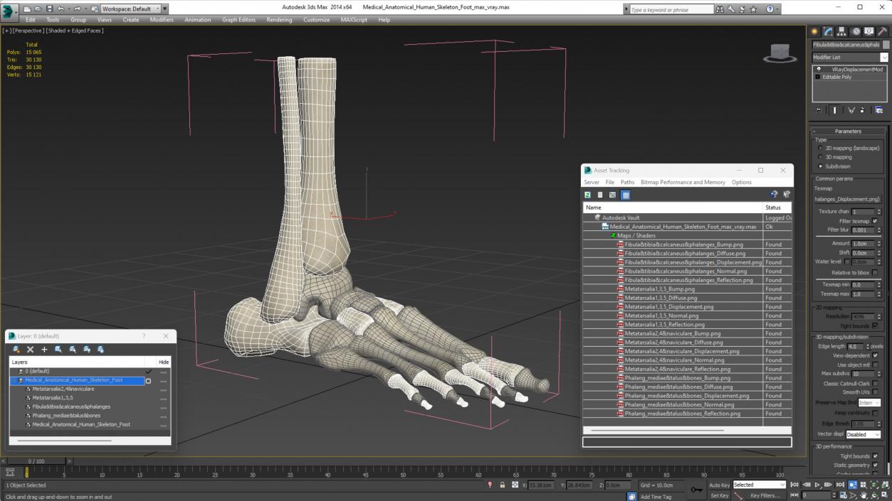 3D Medical Anatomical Human Skeleton Foot model