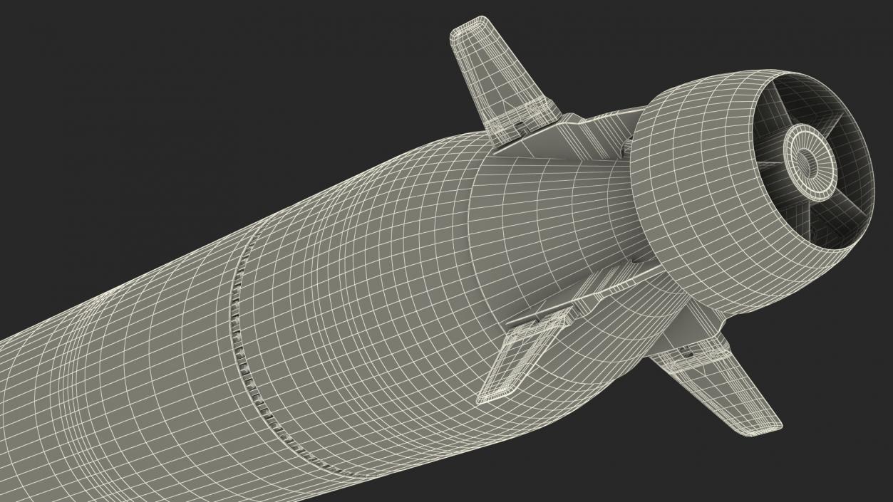 3D Russian Nuclear Torpedoes Poseidon Kanyon Rigged model