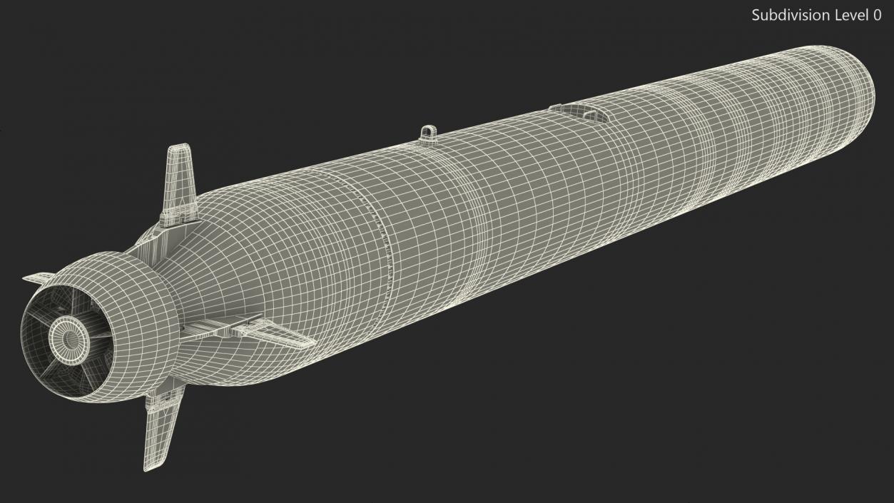 3D Russian Nuclear Torpedoes Poseidon Kanyon Rigged model