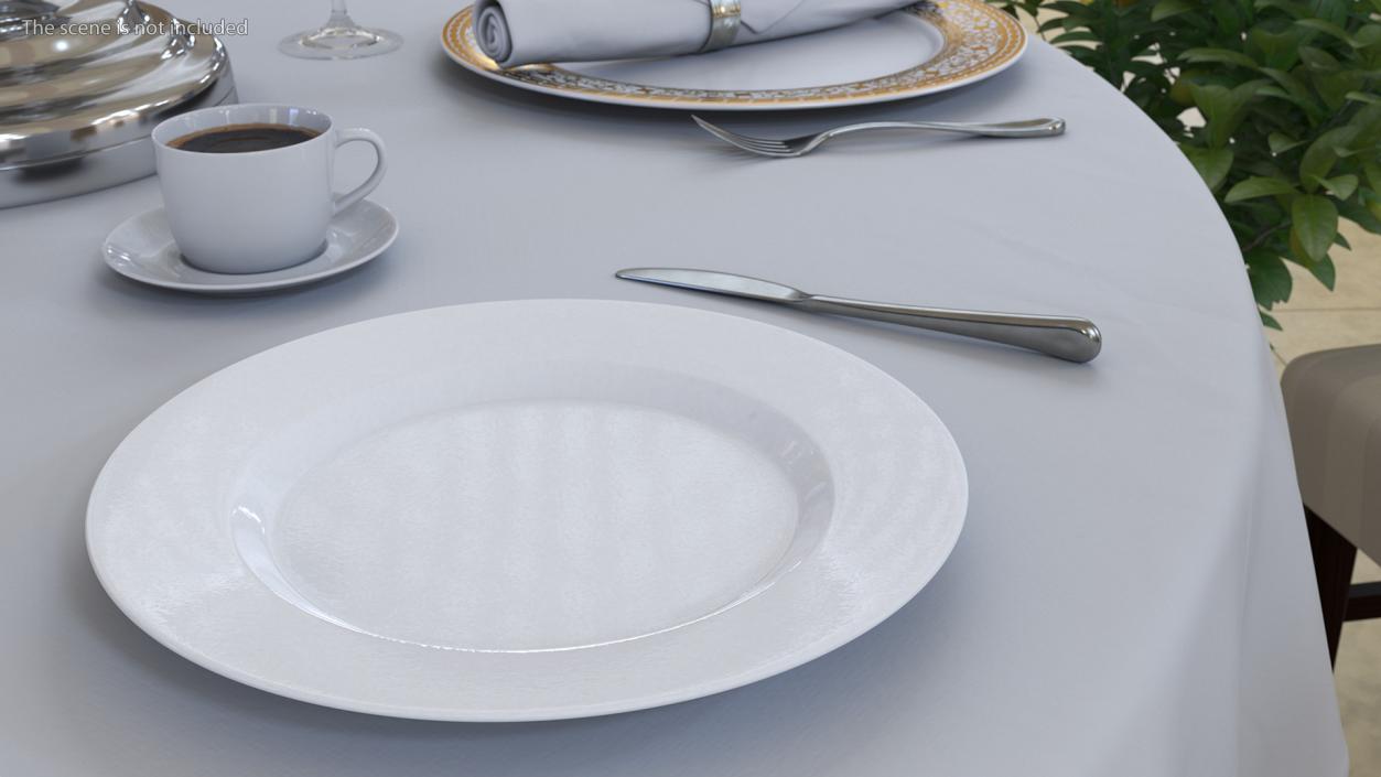 3D Empty Plate