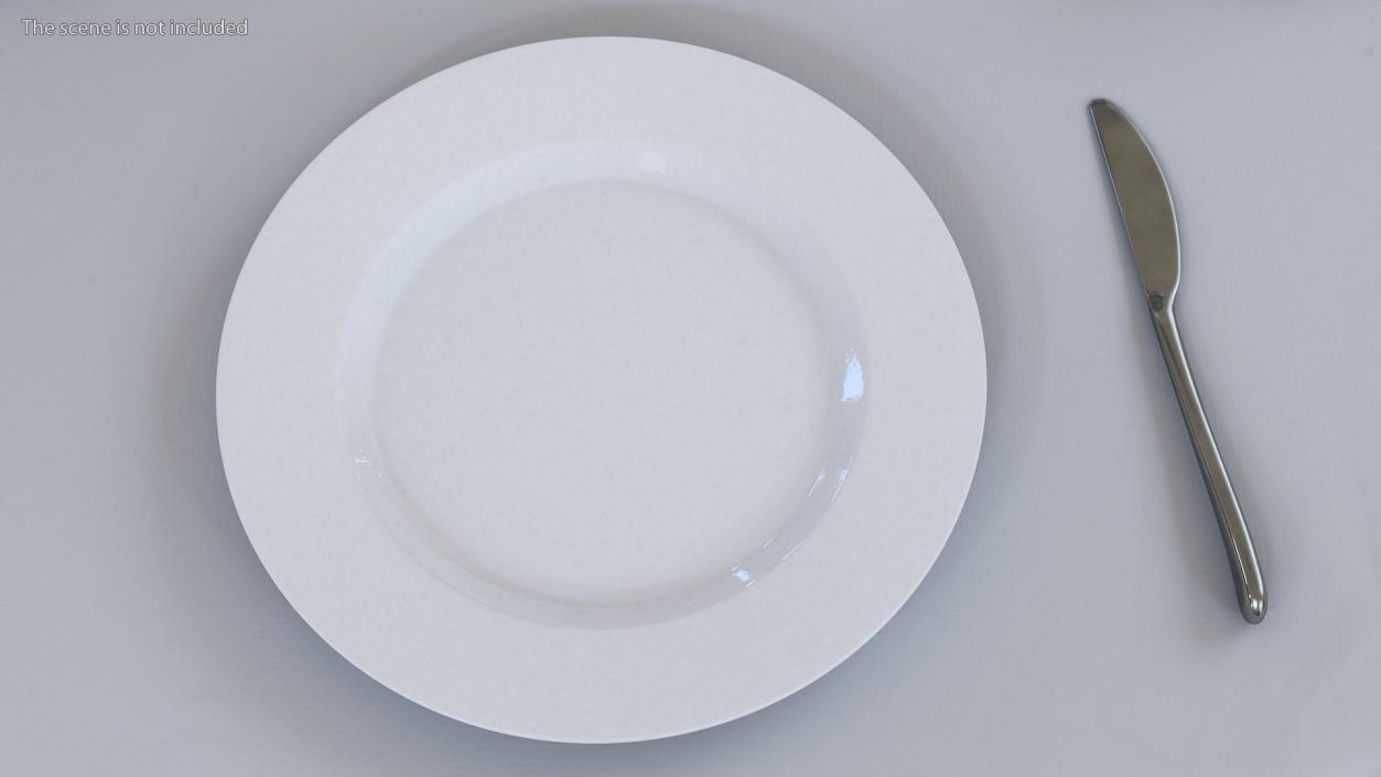 3D Empty Plate