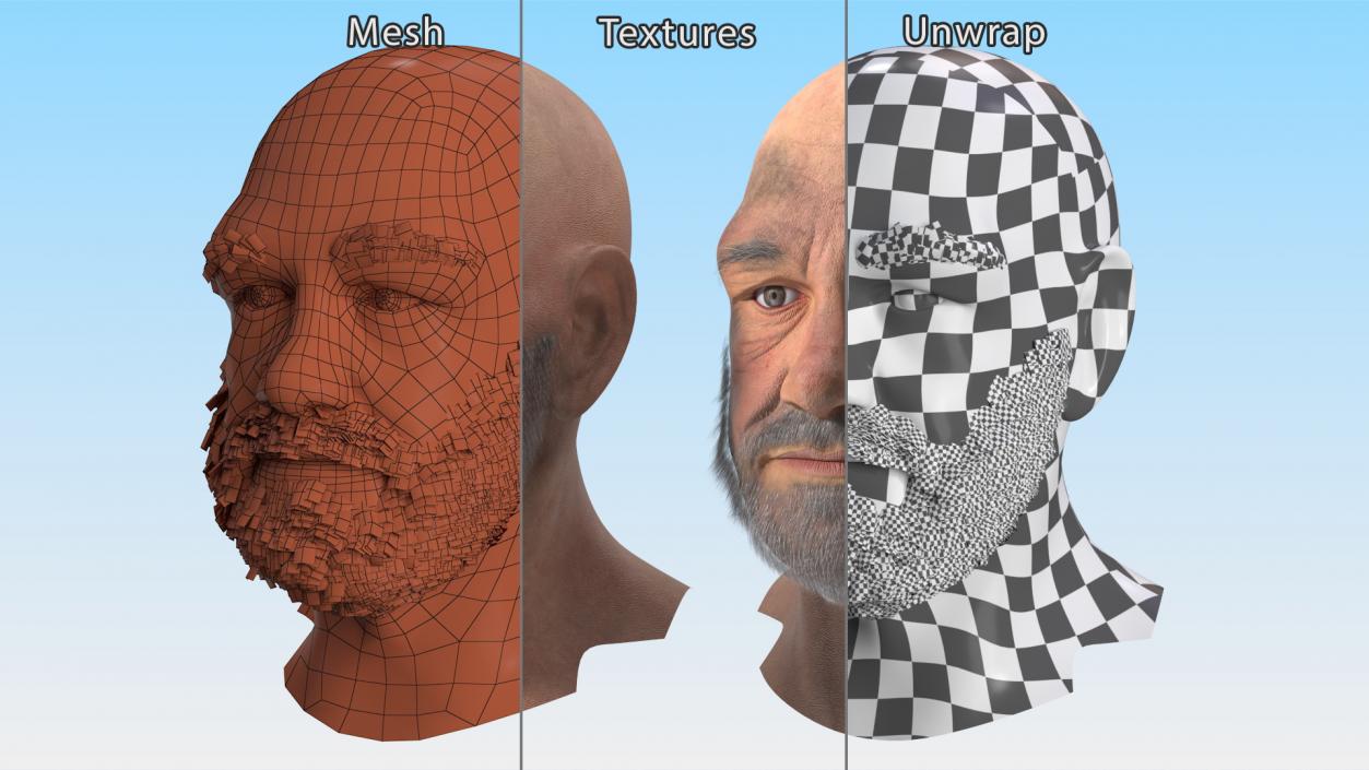 3D Homeless Old Man Head