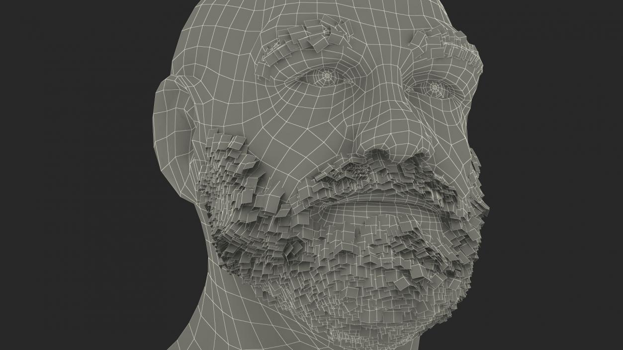 3D Homeless Old Man Head