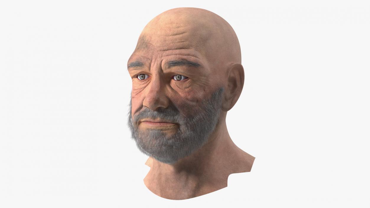 3D Homeless Old Man Head