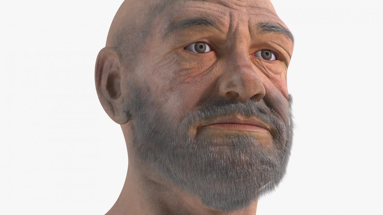 3D Homeless Old Man Head