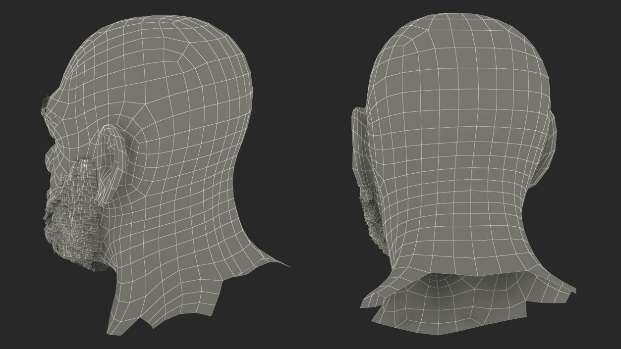 3D Homeless Old Man Head