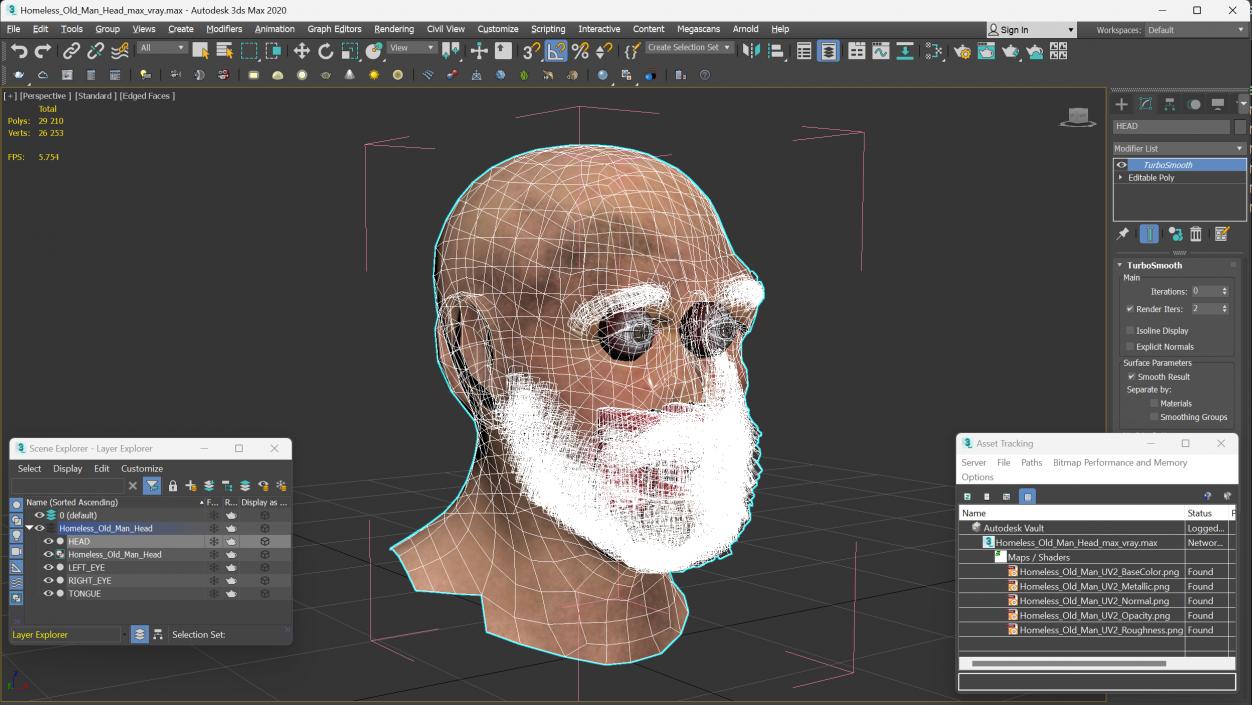 3D Homeless Old Man Head